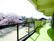 桜木幼稚園の写真