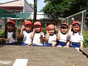 富士わかば保育園の写真