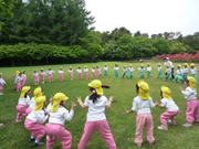 月江寺幼稚園の写真