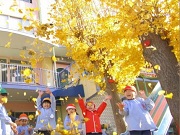 橋本幼稚園の写真