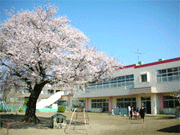 桜台保育園の写真