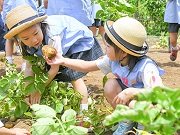 小松川めぐみ幼稚園の写真