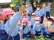 三ツ境幼稚園の写真