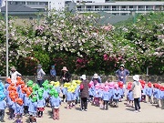 光貞幼稚園の写真
