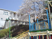 中野ルンビニ幼稚園の写真