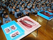 しもさかべ幼稚園 兵庫県尼崎市 幼稚園 保育園 こども園 システムの導入実績