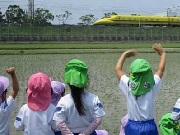 袋井市立 田原幼稚園の写真