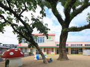 高千穂幼稚園の写真
