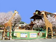 天王学園幼稚園の写真