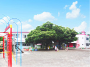 うさぎ幼稚園の写真