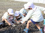  静岡若葉幼稚園の写真