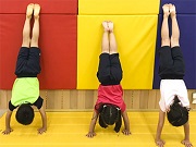 TOMAS体操スクール 成城学園校の写真